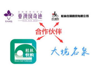 信息系統集成與全面技術服務 構筑數字時代的技術基石